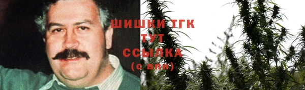 mdpv Каменка