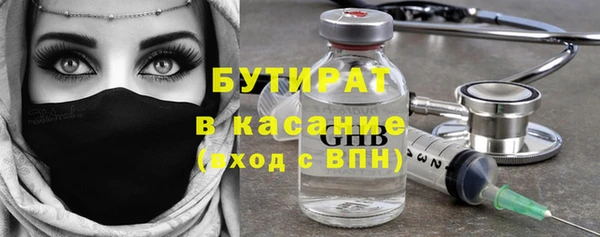 прущие грибы Каменногорск