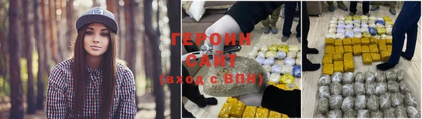 прущие грибы Каменногорск