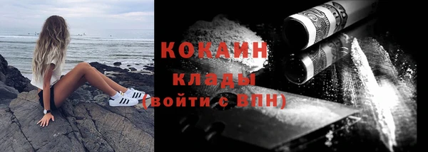 прущие грибы Каменногорск