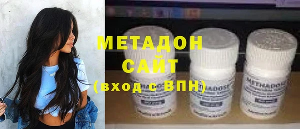 прущие грибы Каменногорск