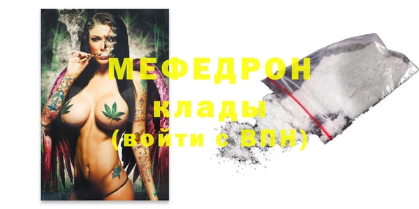 прущие грибы Каменногорск