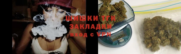 прущие грибы Каменногорск