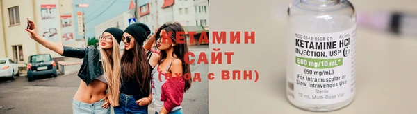прущие грибы Каменногорск
