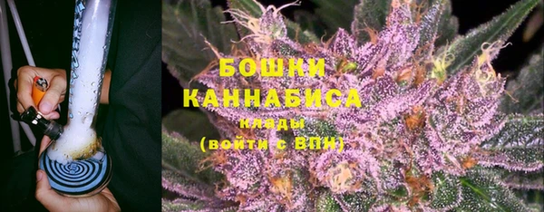 mdpv Каменка