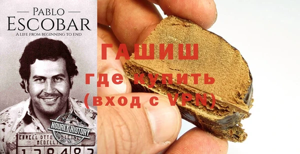 прущие грибы Каменногорск