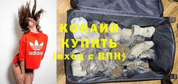 mdpv Каменка