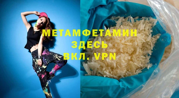 прущие грибы Каменногорск